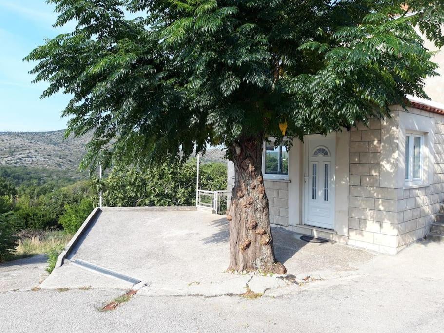 Apartment Harmony - With Free Parking Doli Extérieur photo